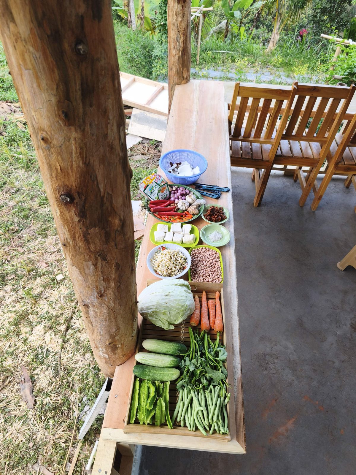 The day's ingredients laid out