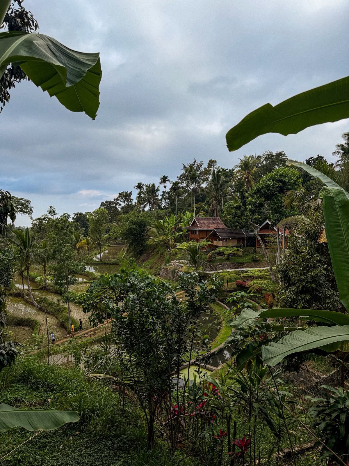 The valley