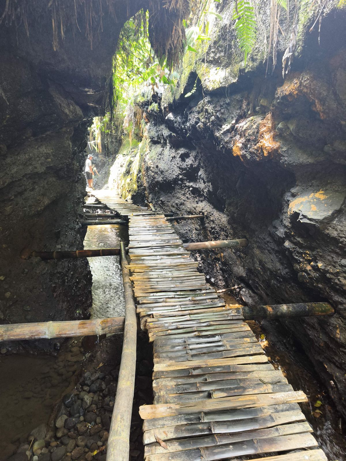 Bamboo walkway through the gorge